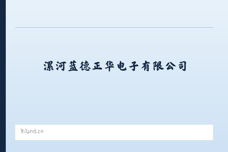 漯河蓝德正华电子有限公司 列表图