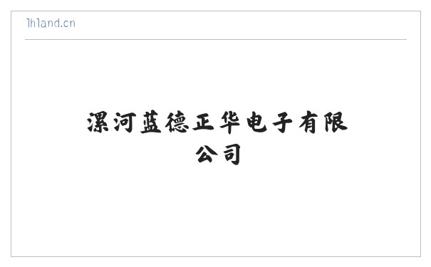 漯河蓝德正华电子有限公司 缩略图